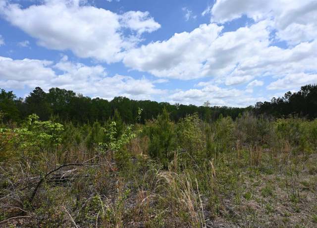 Property at 0 Platt Springs Rd, West Columbia, SC 29169