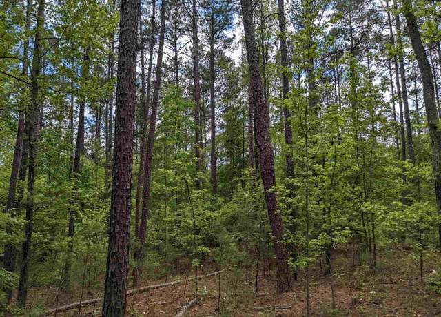 Property at 489 Syrup Mill Rd, Ridgeway, SC 29130