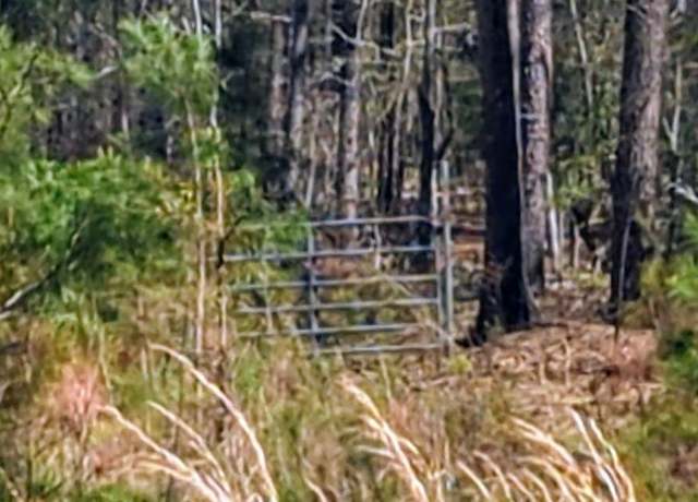 Property at Off Evergreen Rd, Winnsboro, SC 29180