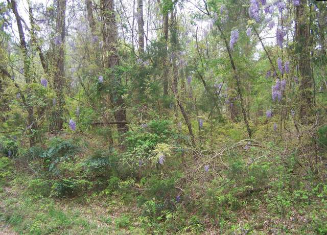 Property at Lot #17 Myrtle Ln, Blair, SC 29015