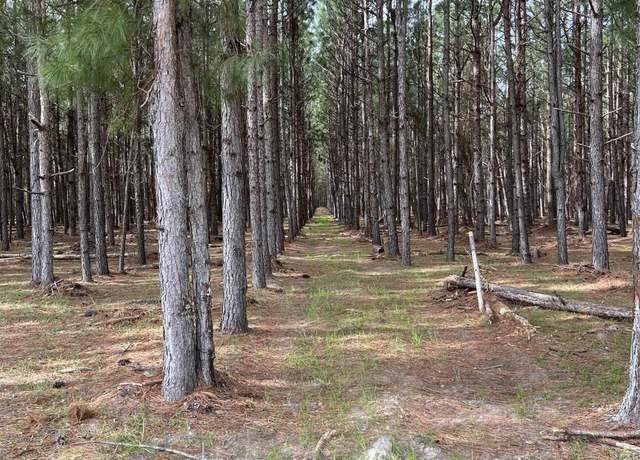 Property at 5684 Moses Dingle Rd, Manning, SC 29102
