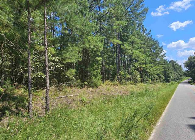 Property at 0 Sharpes Hill Rd, Gaston, SC 29053
