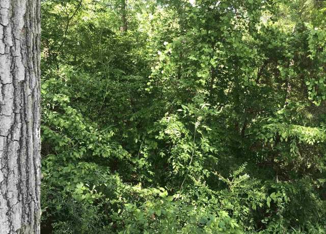 Property at 4910 Woodbrier St, Columbia, SC 29203