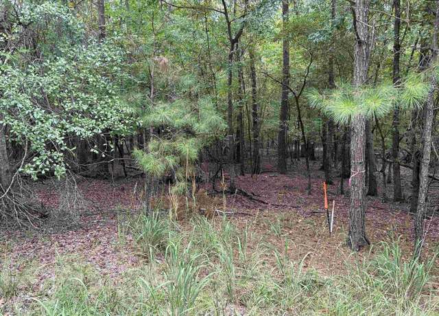 Property at 0 Little Saluda Ln, Batesburg, SC 29006