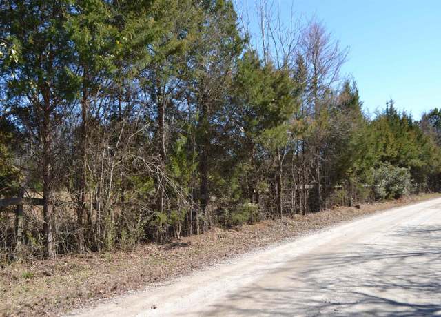 Property at 105 Walter Mccartha Rd, Chapin, SC 29036