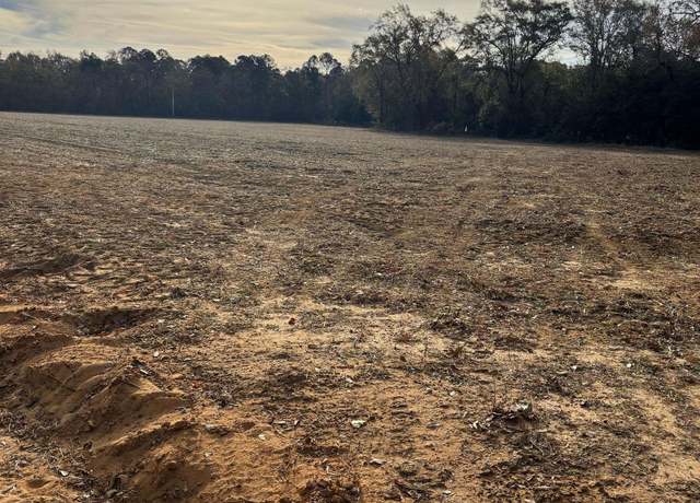 Property at 0 Toole Smith Rd, Swansea, SC 29053