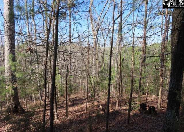 Property at 0 SC 200 Hwy, Winnsboro, SC 29180