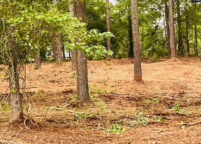 Property at 2565 Pierce Boozer Loop Rd, Prosperity, SC 29127