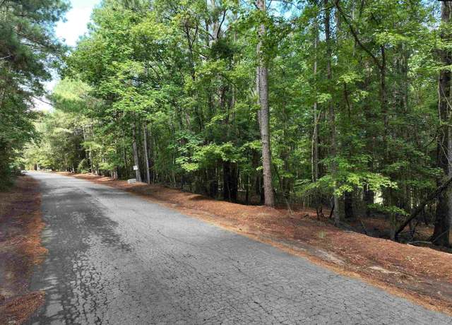 Property at 155A Torrey Pnes, Chapin, SC 29036