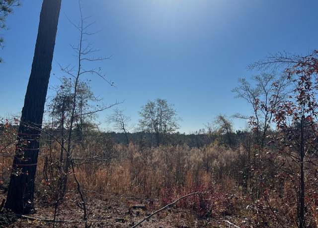 Property at 2199 Longtown Rd, Ridgeway, SC 29130