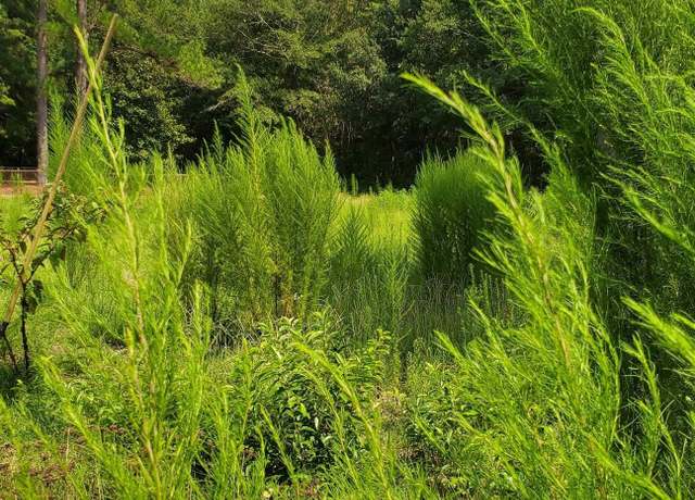 Property at Ardis Rd, Pinewood, SC 29125