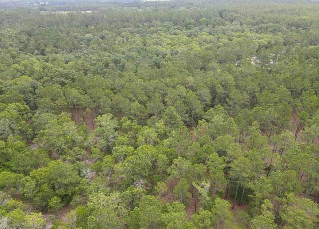 Property at 1409 Robinson Town Rd #4, Cassatt, SC 29032