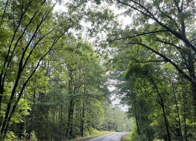 Property at TBD Gin Branch Ct, Leesville, SC 29070