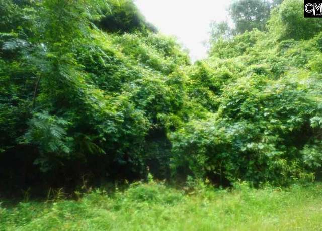 Property at Fringetree Road Rd, St. Matthews, SC 29135