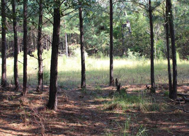 Property at 0 Grady Pond Rd, Wagener, SC 29006
