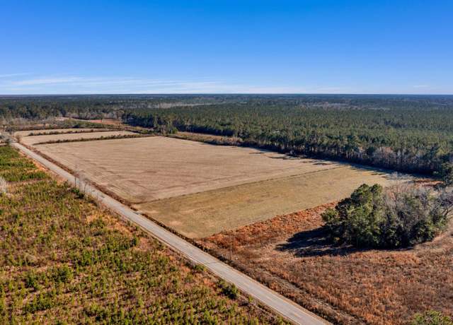Property at 1745 Williams Hill Rd #2, Hemingway, SC 29554