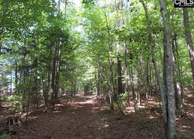 Property at 0 Holy Trinity Church Rd, Little Mountain, SC 29075