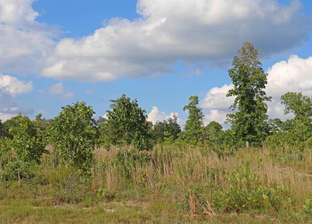 Property at TBD Seivern Rd, Wagener, SC 29164-9503