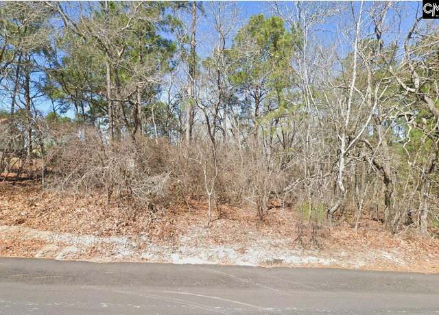 Property at 132 Stone Bridge Dr, Gaston, SC 29053
