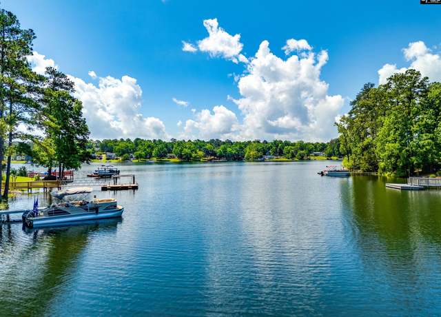 Property at 130 Heavens Edge Ct, Chapin, SC 29036, 4 beds, 3.5 baths