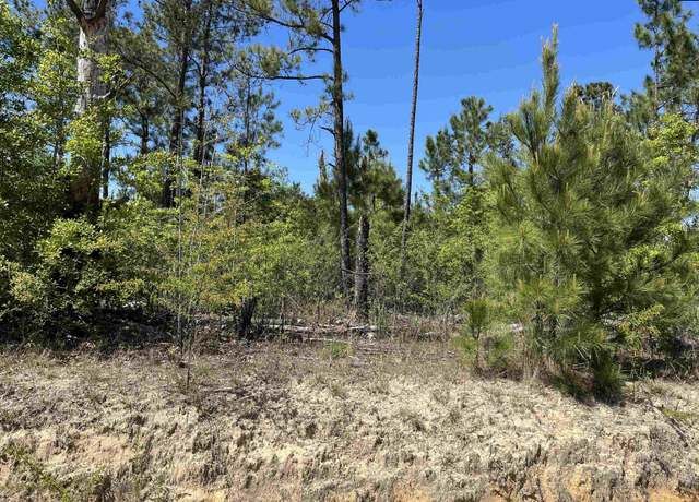 Property at TBD Preserver Rd, Neeses, SC 29107