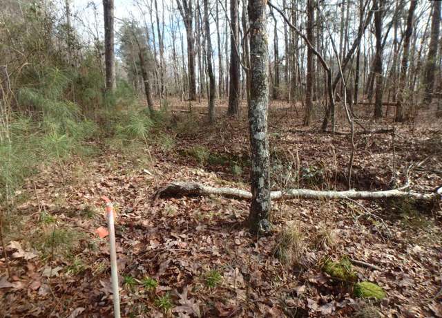 Property at 0 Amicks Ferry Rd, Chapin, SC 29036