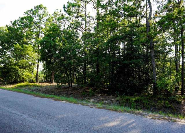 Property at 302 Blue Poppy Rd, Batesburg, SC 29006