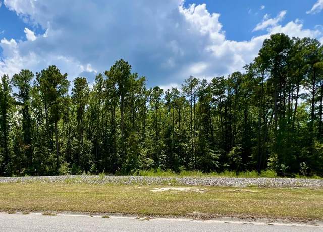 Property at 137 Mountain Maple Ln, Blythewood, SC 29016