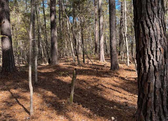 Property at 142 Monteith Rd, Blythewood, SC 29016
