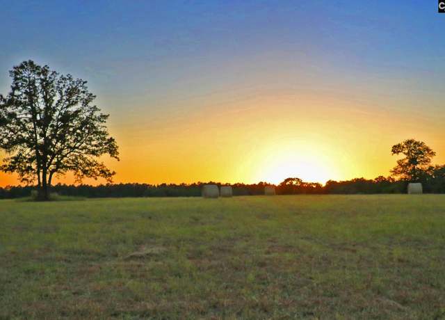 Property at TBD Browns Pond Rd, Wagener, SC 29164-0000