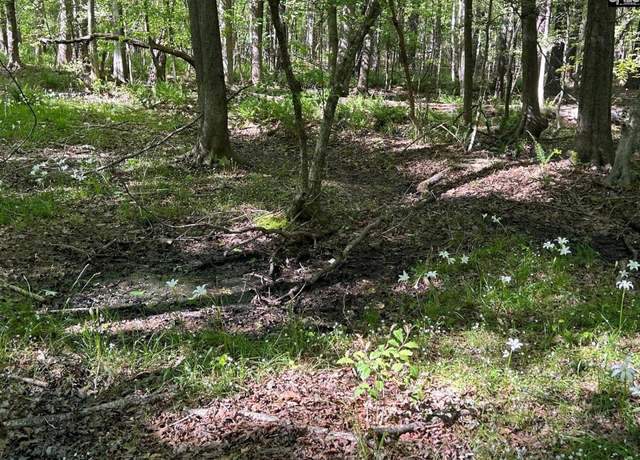 Property at TBD Martin Rd, Chapin, SC 29036