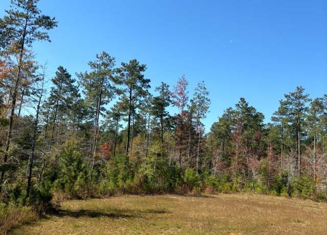 Property at 203 Legend Dr, Saluda, SC 29138