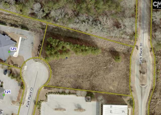 Property at 124 Park Place Ct, Lexington, SC 29072