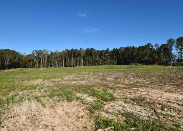 Property at Lot 8 Gold Nugget Pt, Prosperity, SC 29127