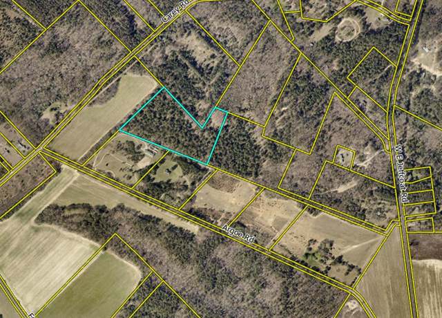 Property at 0 Argoe Rd, Pelion, SC 29123