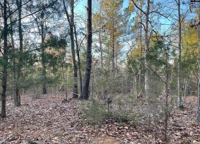 Property at TRACT 2 SC Highway 219, Pomaria, SC 29126