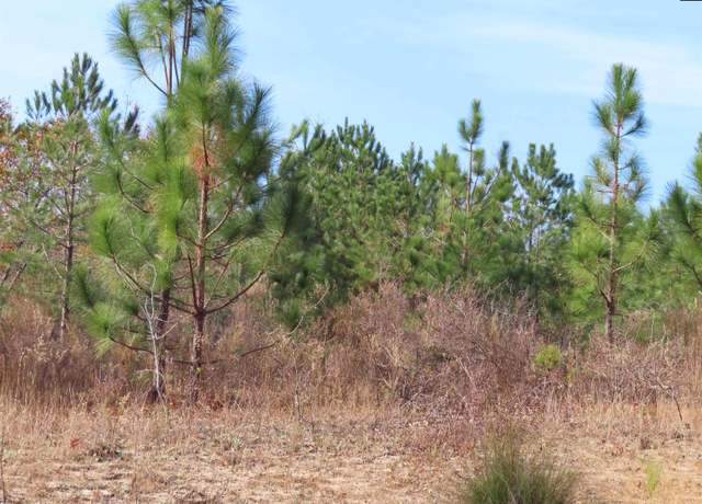 Property at 0 Kennedy Pond Rd, Wagener, SC 29164