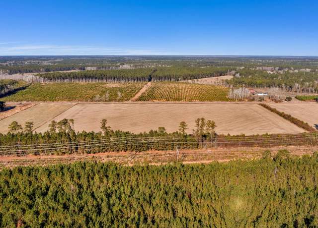 Property at 1745 Williams Hill Rd #3, Hemingway, SC 29554