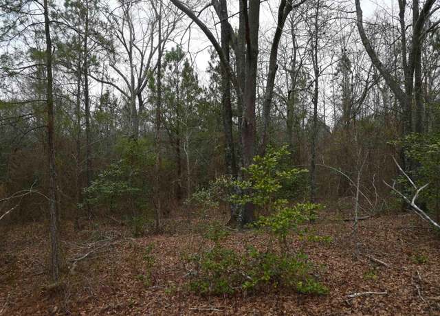 Property at TBD Lot A Hwy 109 S, Ruby, SC 29741