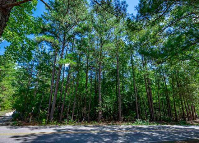 Property at 1125 Dan Comalander Dr, Chapin, SC 29036
