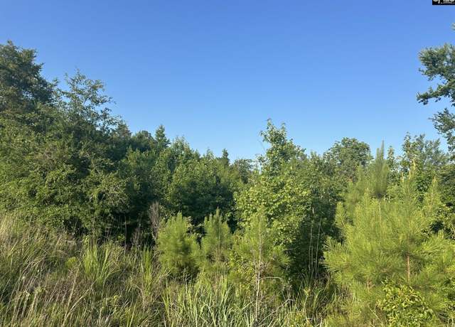 Property at 00 Little North Carolina Rd, Whitmire, SC 29178
