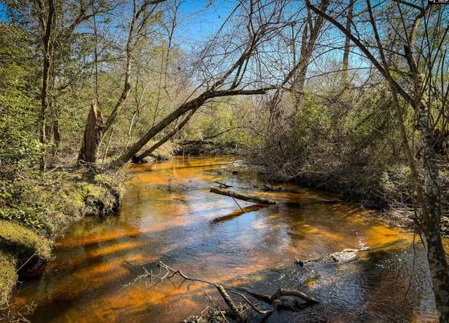 Property at 0 Palomino Rd Lot 17, Leesville, SC 29070