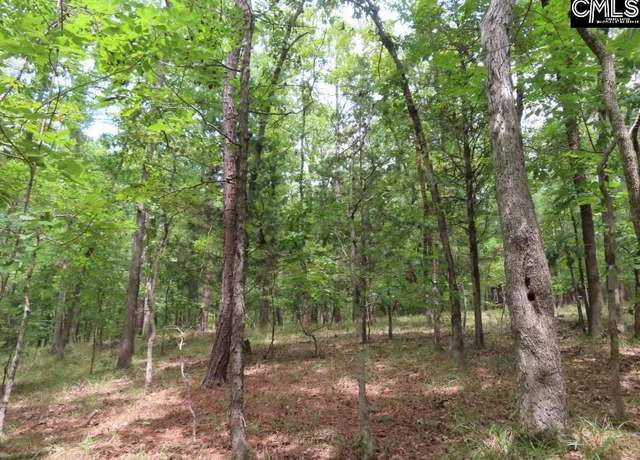 Property at 0 321 Hwy S, Winnsboro, SC 29180