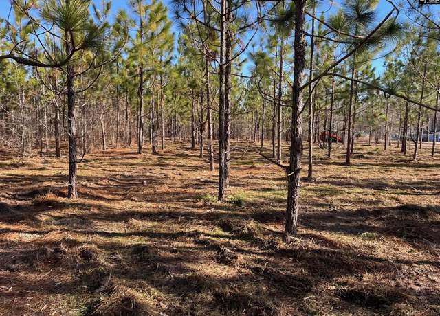 Property at PPR 5.05 Payne Pond Rd Unit PPR 5.05, Westville, SC 29175