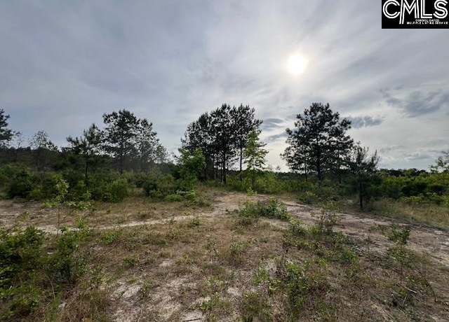 Property at FYF 4 Fox Young Rd Unit FYF 4, Wagener, SC 29164
