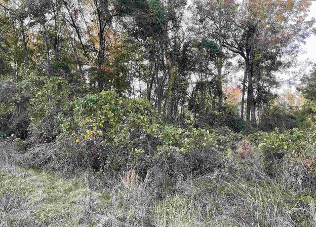 Property at Brook Dr, Bamberg, SC 29003