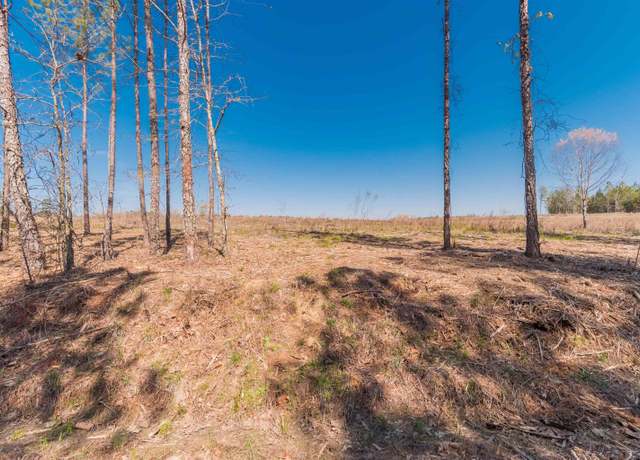 Property at Duncan Rd, Batesburg, SC 29006