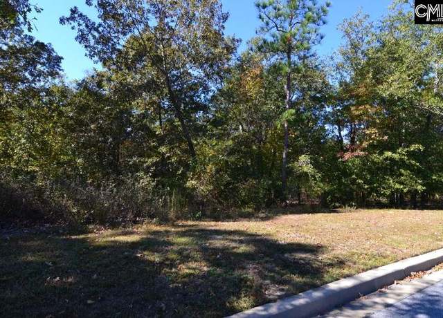 Property at 121 Montgomery Ridge Ln, Blythewood, SC 29016