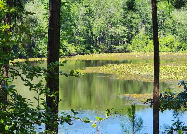 Property at 1984 Larry Jeffers Rd, Elgin, SC 29045