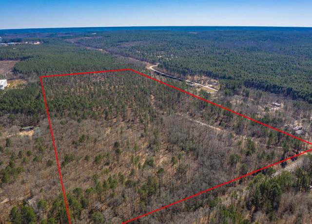 Property at 0 Savany Hunt Creek Rd, Gaston, SC 29053